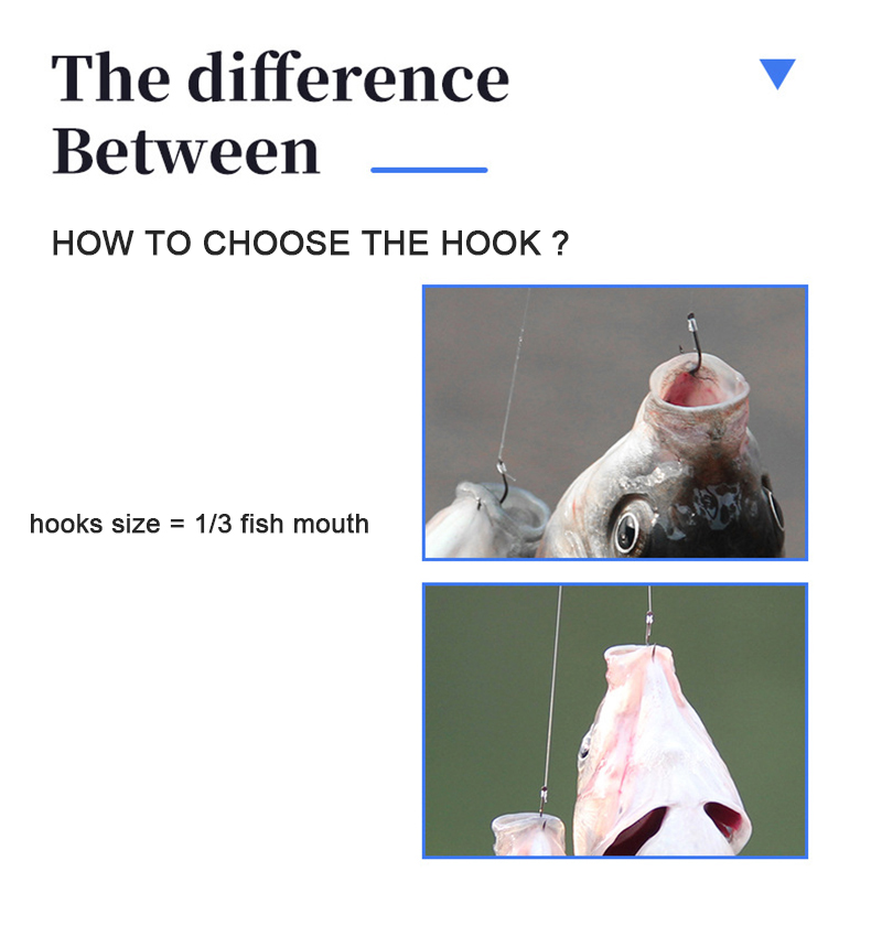 10 pair Fishing Hooks With Tip - Fishing Hook Assortment 리뷰 및 가격